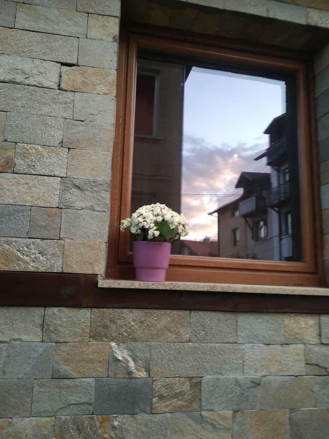 Villa Kalina Apartments Bansko Exterior foto